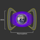 Illustration for article titled An Impenetrable Barrier Protects The Earth From Killer Electrons